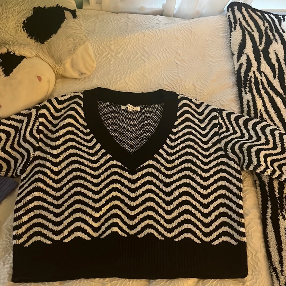 Pacsun Sweater